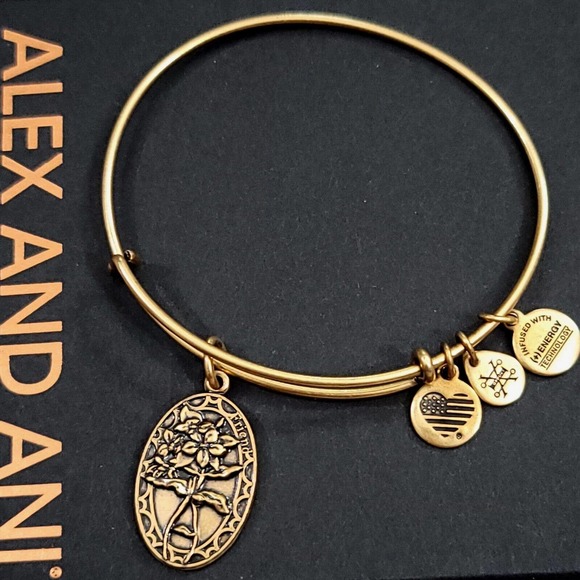 Alex and Ani Because I Love You Friend II Charm Bracelet - Picture 1 of 13